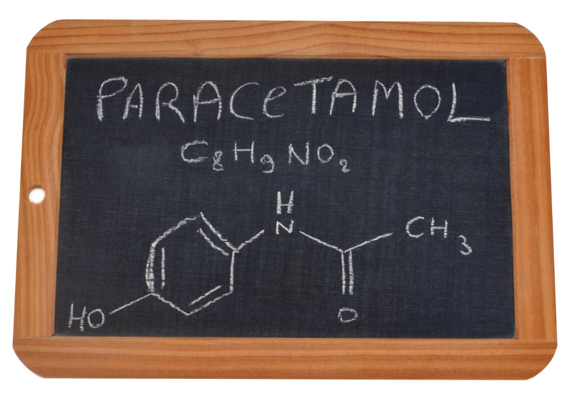 Human Paracetamol For Dogs? - FurBabies™ Botanicals