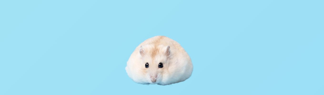 Hamster Grooming - VETERINARY RESEARCH INFORMED PET SKIN & ORAL CARE