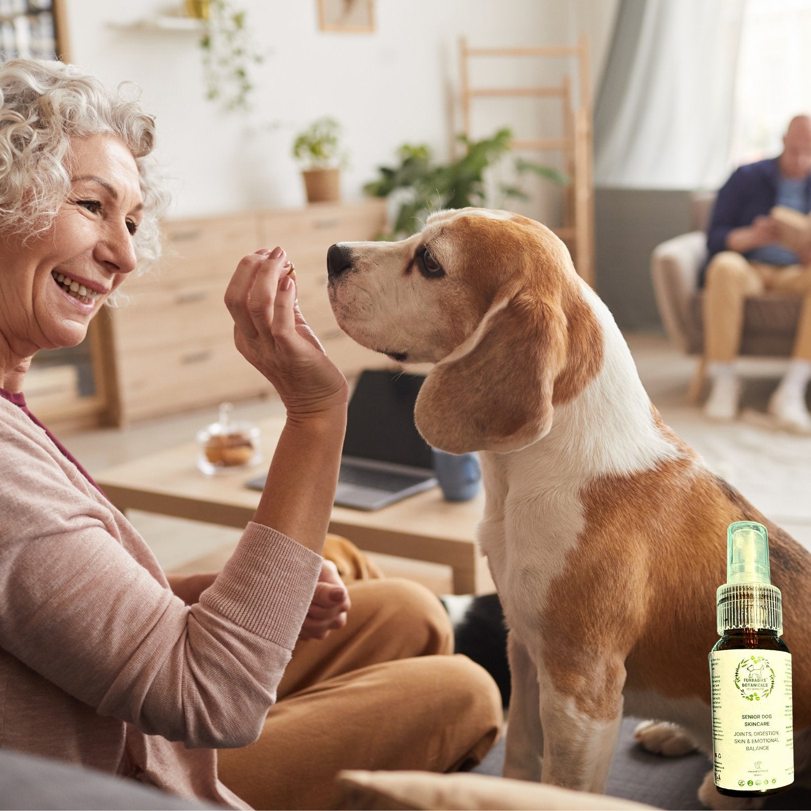 Aching Stiff Joints & Digestive Issues Dog Massage Oil - FURBABIES™ BOTANICALS