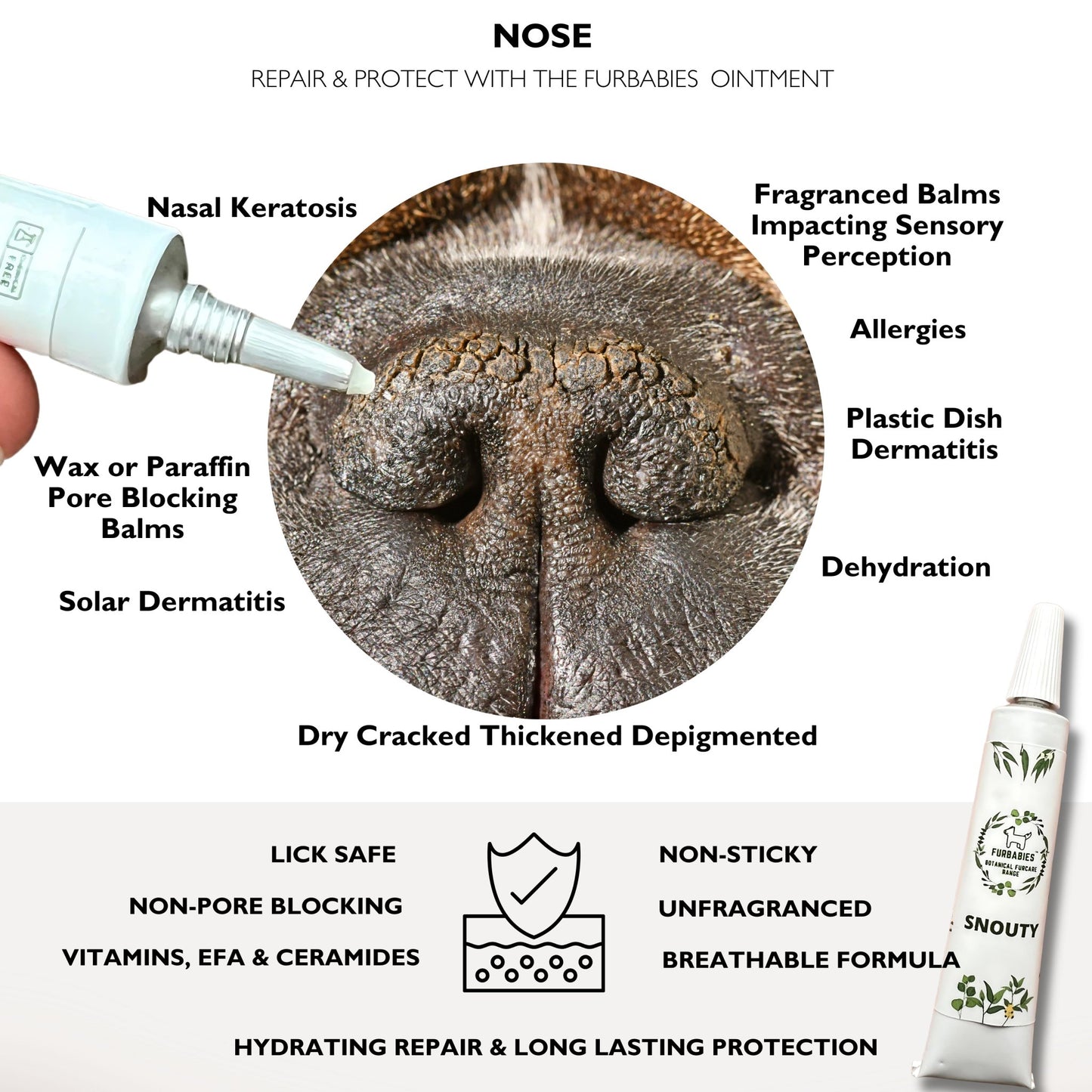 Cat & Dog Nose, Wrinkle & Paw Ointment - PET SKINCARE FOR ITCH, PAW LICKING, TEAR STAINS & MORE