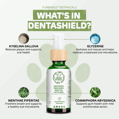 DENTASHIELD TEETH & GUMS ORAL SPRAY FOR CATS & DOGS (30mls) - FurBabies™ Botanicals | Pet Skin Barrier Repair