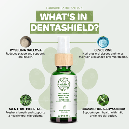 DENTASHIELD TEETH & GUMS ORAL SPRAY FOR CATS & DOGS - VETERINARY RESEARCH INFORMED PET SKIN & ORAL CARE