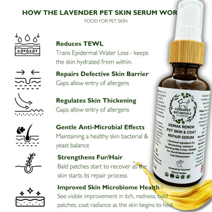 LAVENDER DERMA RENEW SERUM FOR ITCHY & SMELLY DOGS (50ml) - VETERINARY RESEARCH INFORMED PET SKIN & ORAL CARE