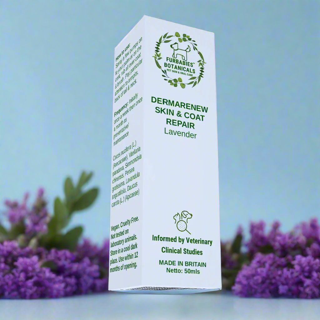 LAVENDER DERMA RENEW SERUM FOR ITCHY & SMELLY DOGS (50ml) - VETERINARY RESEARCH INFORMED PET SKIN & ORAL CARE