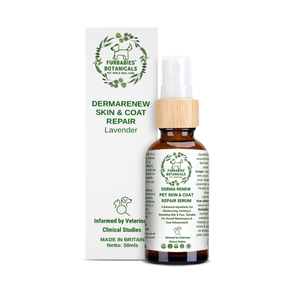 LAVENDER DERMA RENEW SERUM FOR ITCHY & SMELLY PETS (50ml) - VETERINARY RESEARCH INFORMED PET SKIN & ORAL CARE