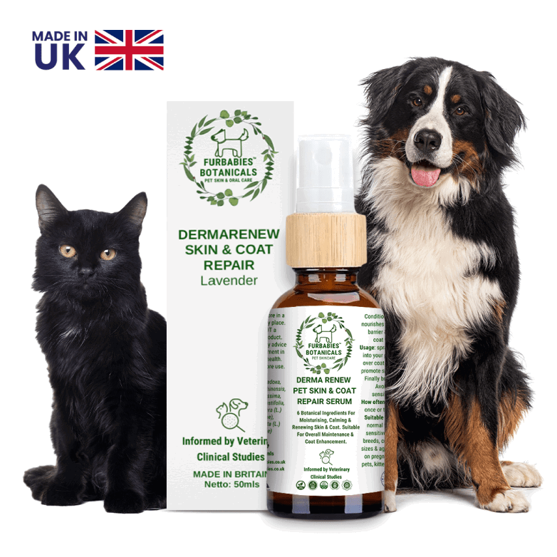 LAVENDER DERMA RENEW SERUM FOR ITCHY & SMELLY PETS (50ml) - FurBabies™ Botanicals | Pet Skin Barrier Repair